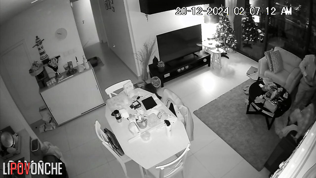  Spy Hidden Cam