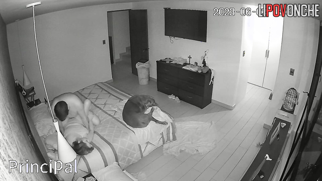 They wouldn't like it if someone was watching them with hidden camera