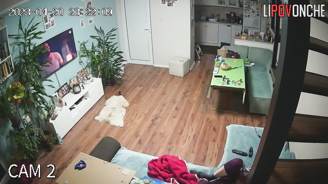  Spy Hidden Cam