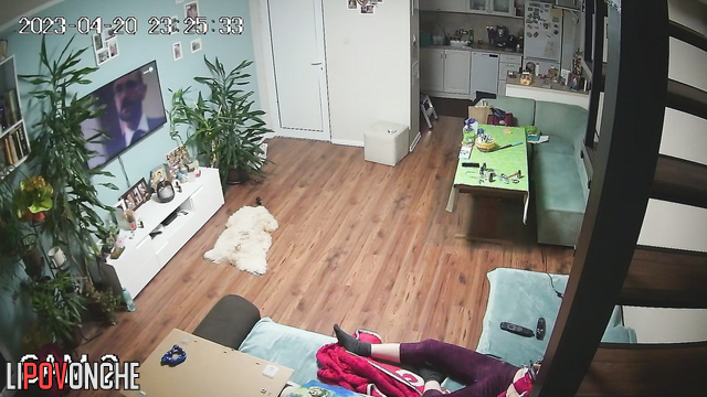  Spy Hidden Cam