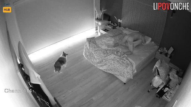  Spy Hidden Cam
