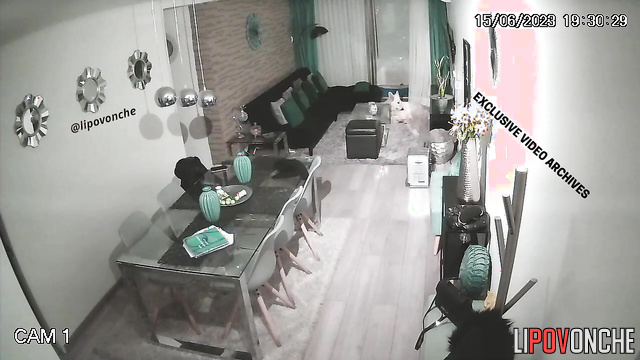 Busty brunette invited her lover while no one was home