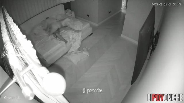  Spy Hidden Cam