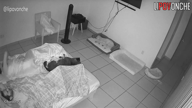  Spy Hidden Cam