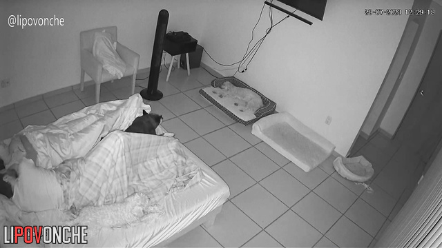 Just regular sex before bed and nothing more, look