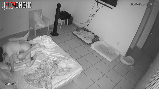  Spy Hidden Cam