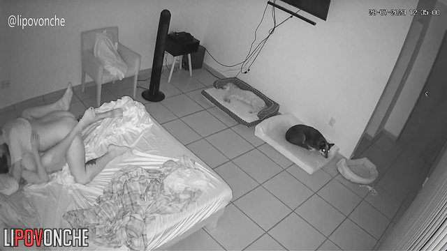 Just regular sex before bed and nothing more, look