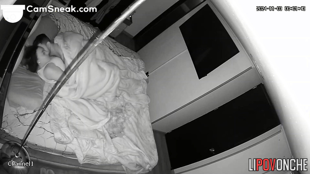  Spy Hidden Cam