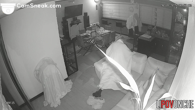  Spy Hidden Cam