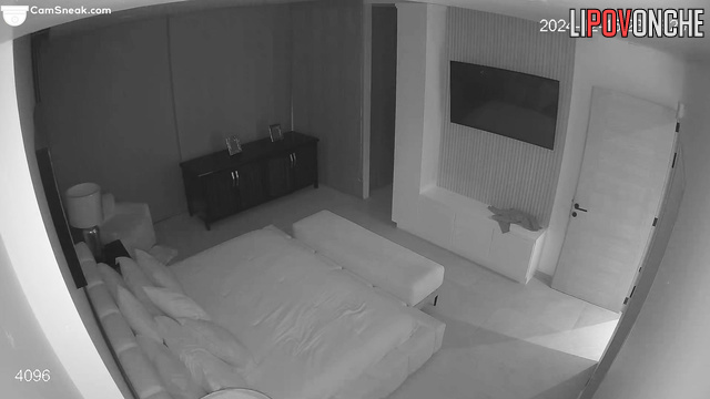 Hidden camera in a hotel: Elite prostitute serves a bearded client