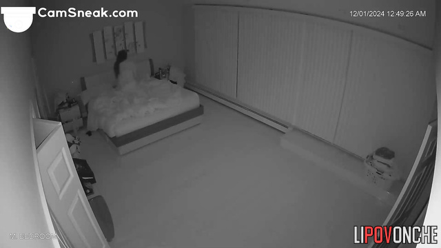  Spy Hidden Cam