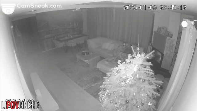 Cool Christmas sex near the Christmas tree, look it