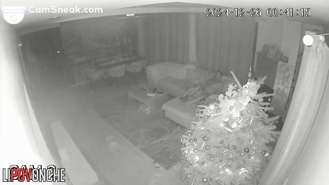  Spy Hidden Cam