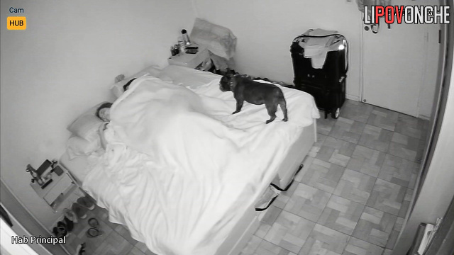  Spy Hidden Cam