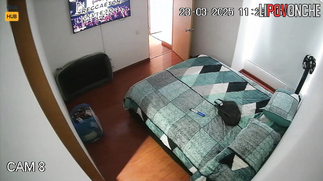 They decided to spend the whole weekend in bed, home video
