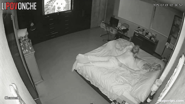  Spy Hidden Cam
