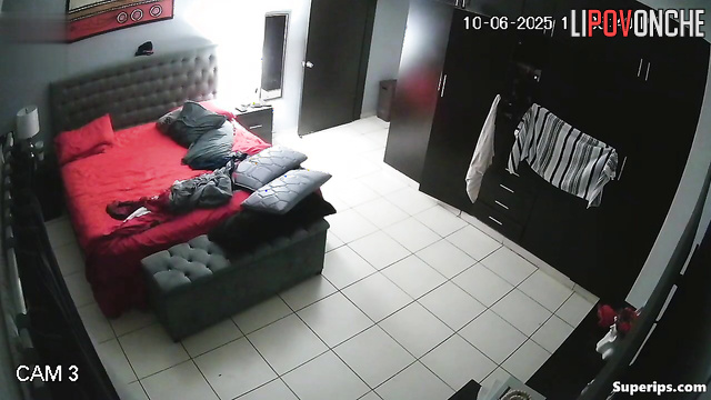 Two horny people did it in the living room - secret tape
