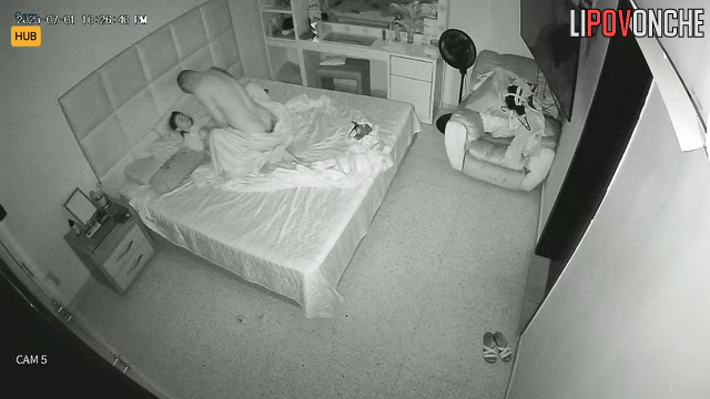  Spy Hidden Cam