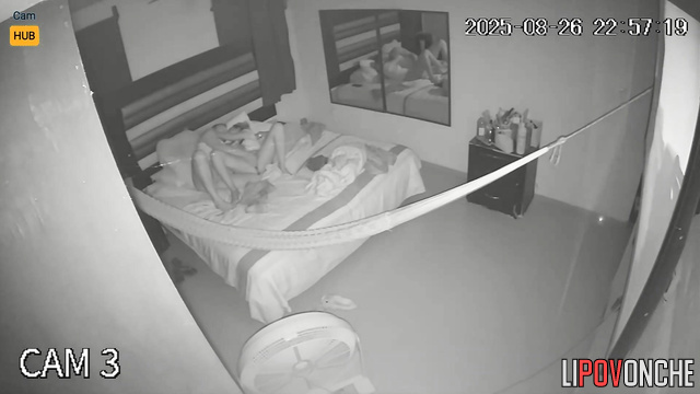 Between having sex with his seductive wife and watching TV, the husband chose sex