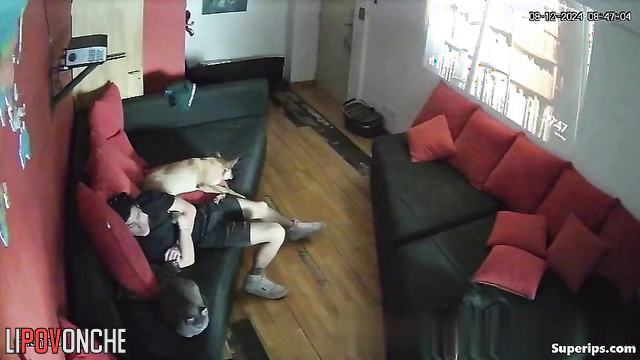 People fucking in threesome (they drank a lot at the club)