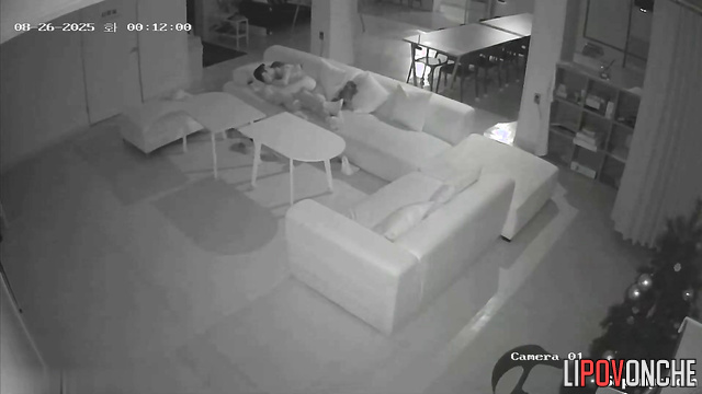 Passionate 69 sex in the living room (between asians)
