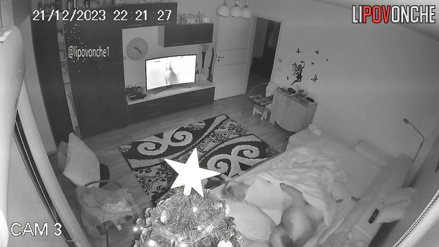  Spy Hidden Cam