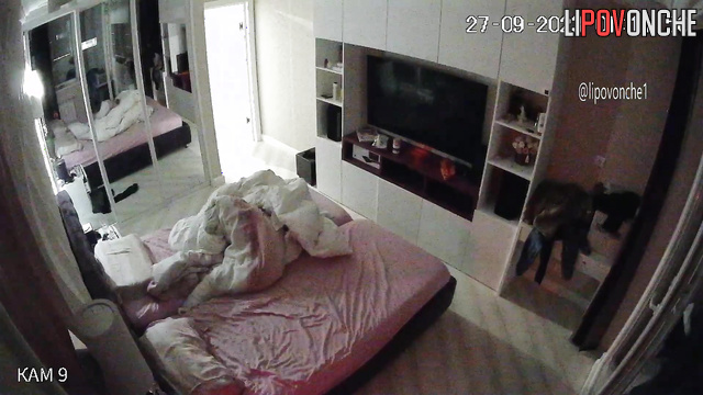 Doggystyle sex on the bed - watch their true love