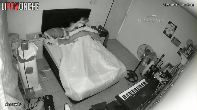 Strangers having sex at night after a cool and hot date