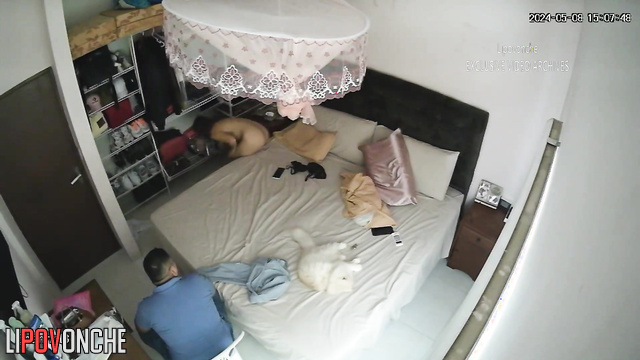 Tiny brunette jumping on a cock without taking off her panties