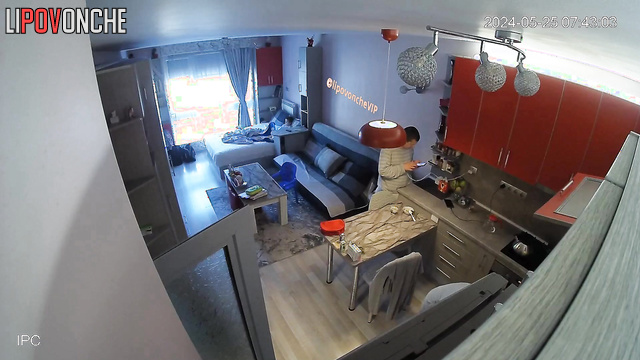 Neighbor installed a camera in their big living room