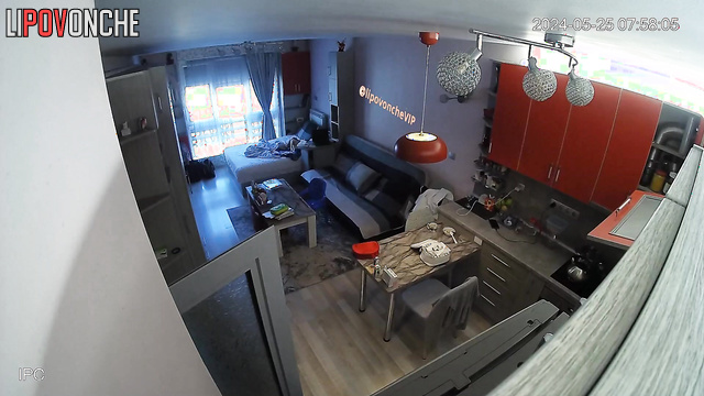 Neighbor installed a camera in their big living room