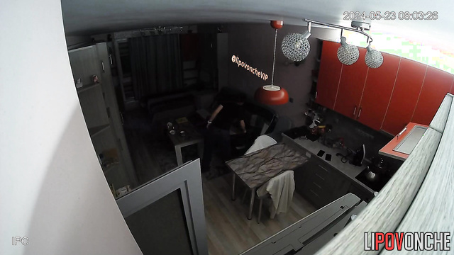 Somebody installed camera in their big living room