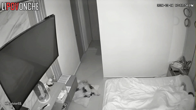 The aroused husband eagerly spreads his sleepy wife's seductive legs