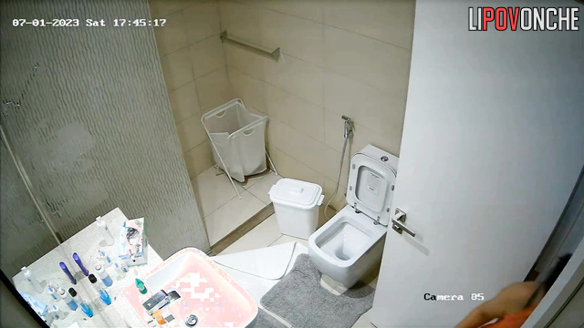 A cute housewife showed off her big bare butt while wiping the toilet