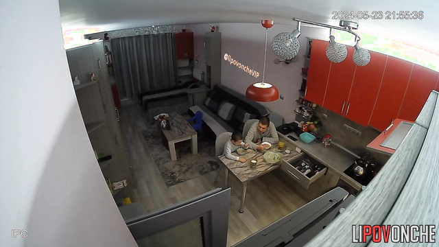 Ordinary day of this friendly family / someone spying them