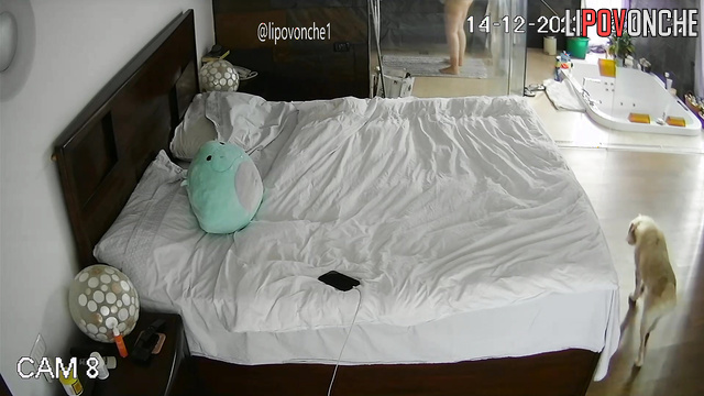 Spy Hidden Cam