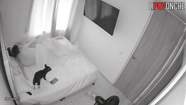 The man eagerly undresses the curvy brunette and thrusts his fingers into her vagina