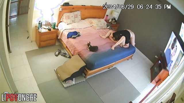 A seductive girl plays with her bored husband's penis under her shorts