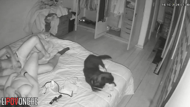  Spy Hidden Cam
