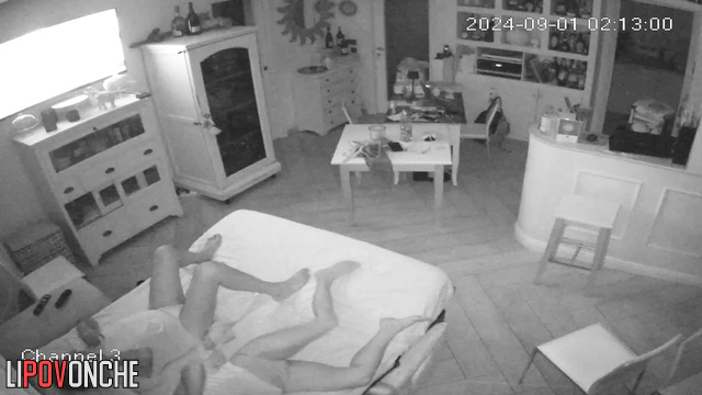  Spy Hidden Cam