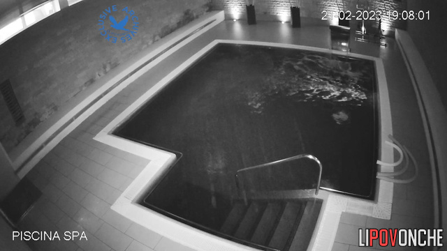 Women chatting and swimming in the public pool, look
