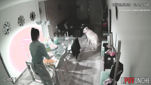 Spy Hidden Cam