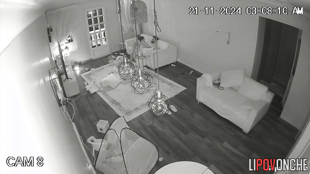 Boyfriend and girlfriend kissing and fucking on the sofa
