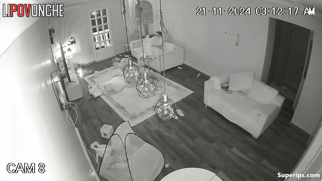 Boyfriend and girlfriend kissing and fucking on the sofa
