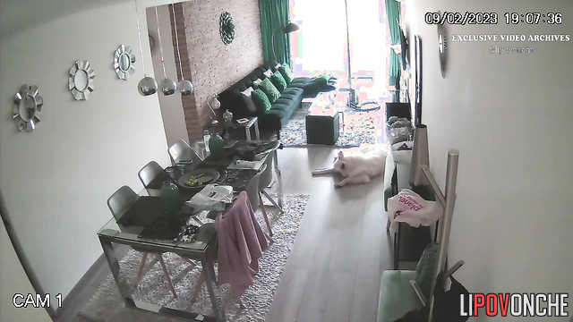  Spy Hidden Cam