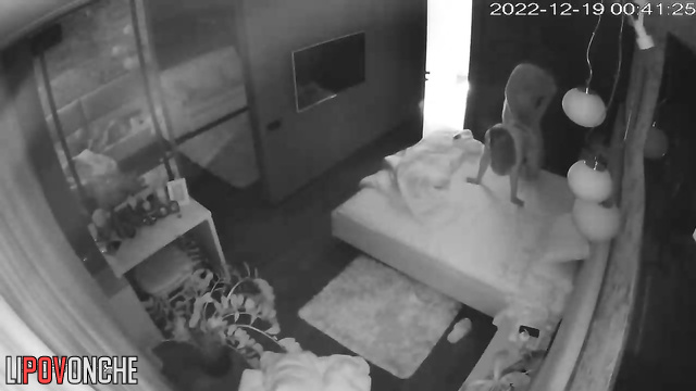  Spy Hidden Cam